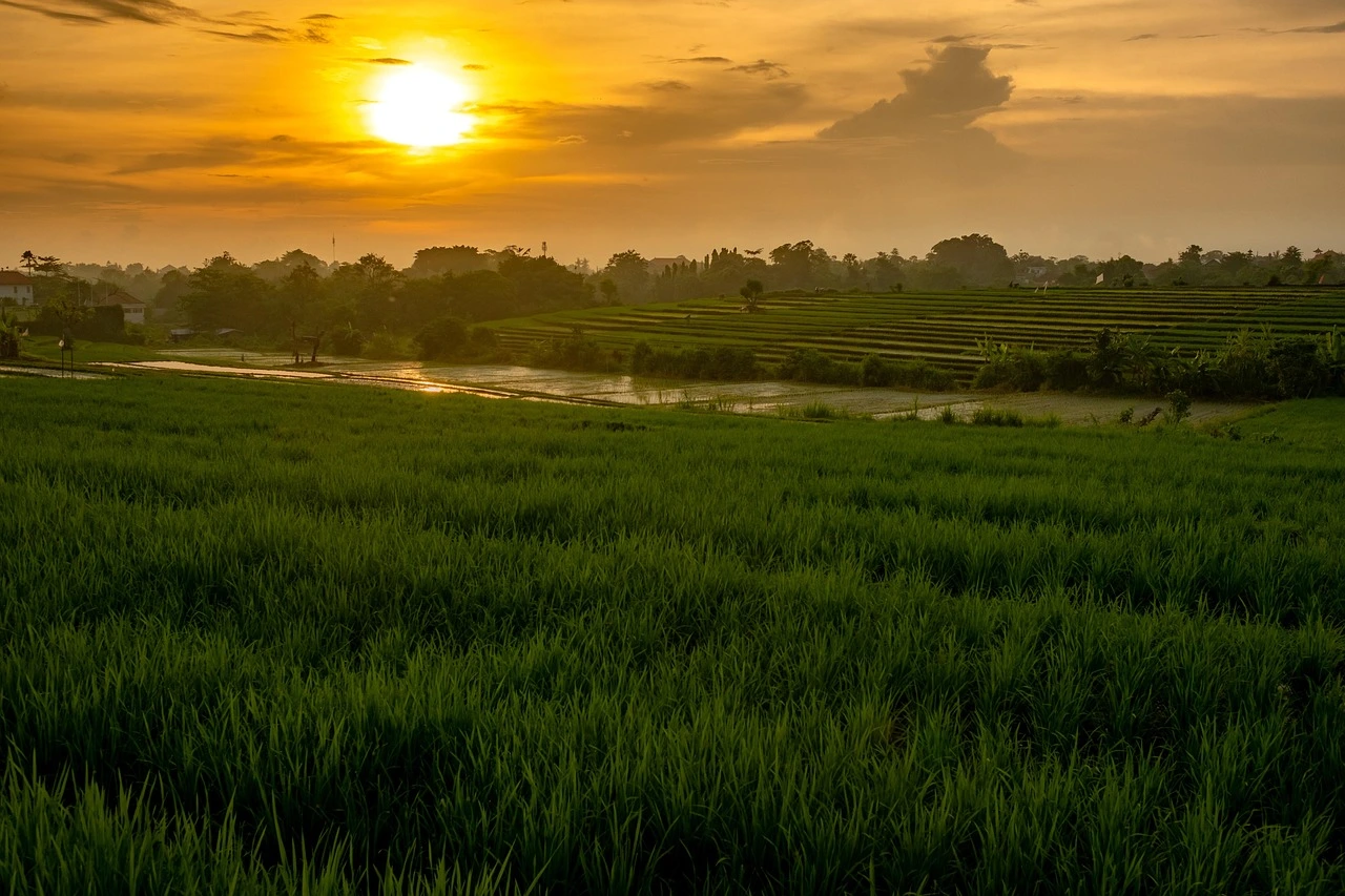 travel to ubud bali​