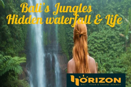 Bali’s Jungles: Hidden Waterfalls and Wildlife