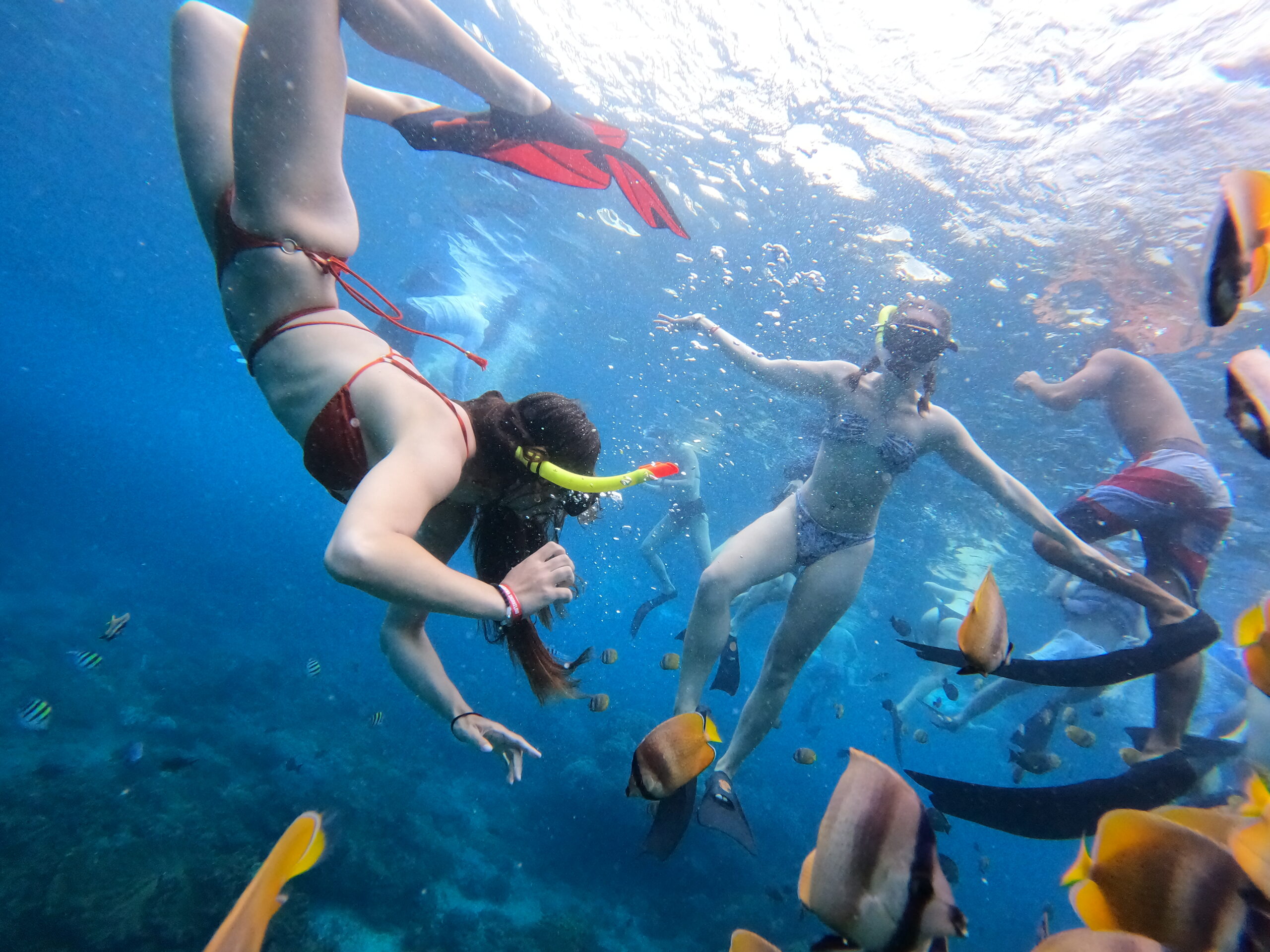 nusa penida snorkeling