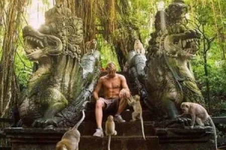monkey forest