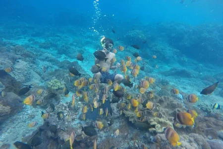 lembongan snorkeling trip