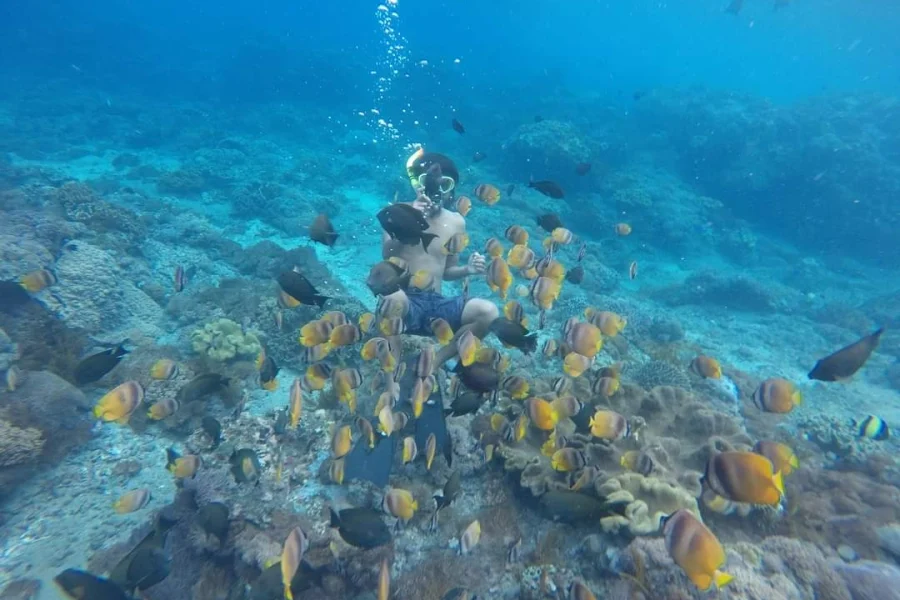 lembongan snorkeling trip