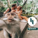 Ubud Monkey Forest