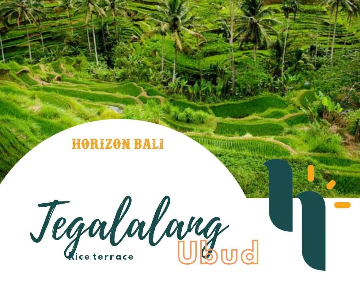 Tegalalang Rice Terrace: The Most Famous Rice Field in Ubud