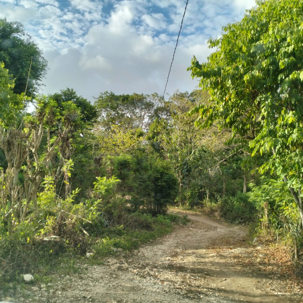 nusa penida road