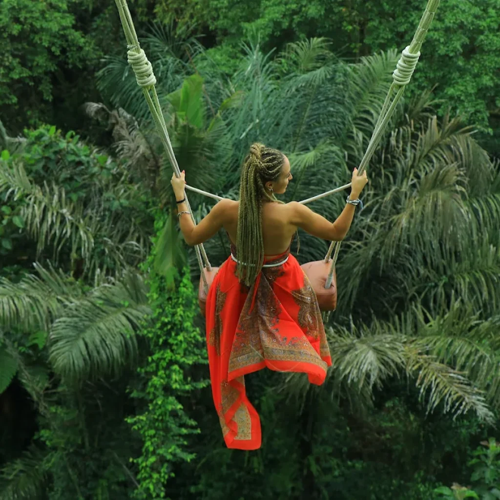 Ubud swing view