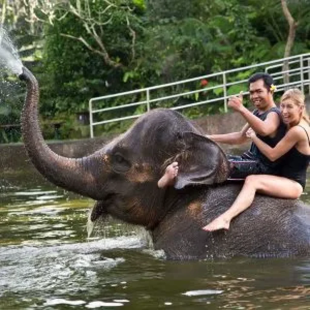 why ubud famous