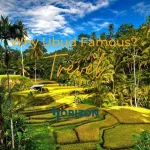 ubud famous
