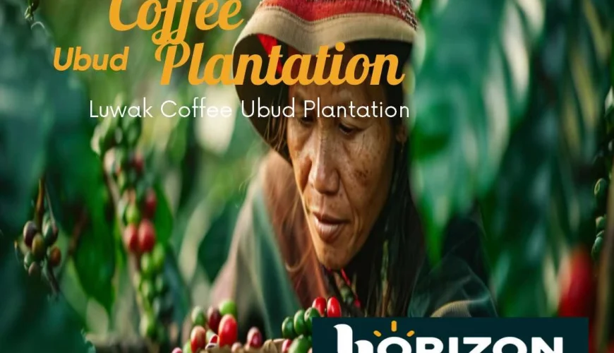 Coffee plantation ubud