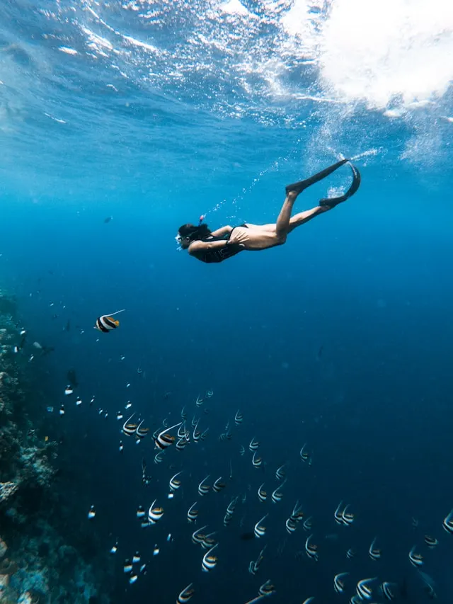 nusa penida snorkeling