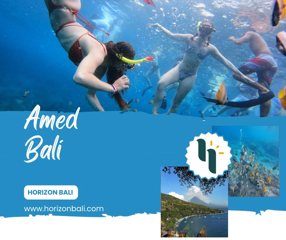 Amed Bali