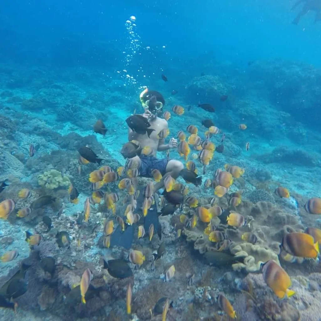 Snorkeling at amed