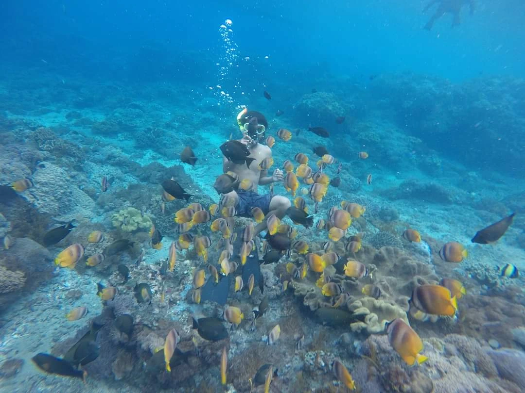 Snorkeling at amed