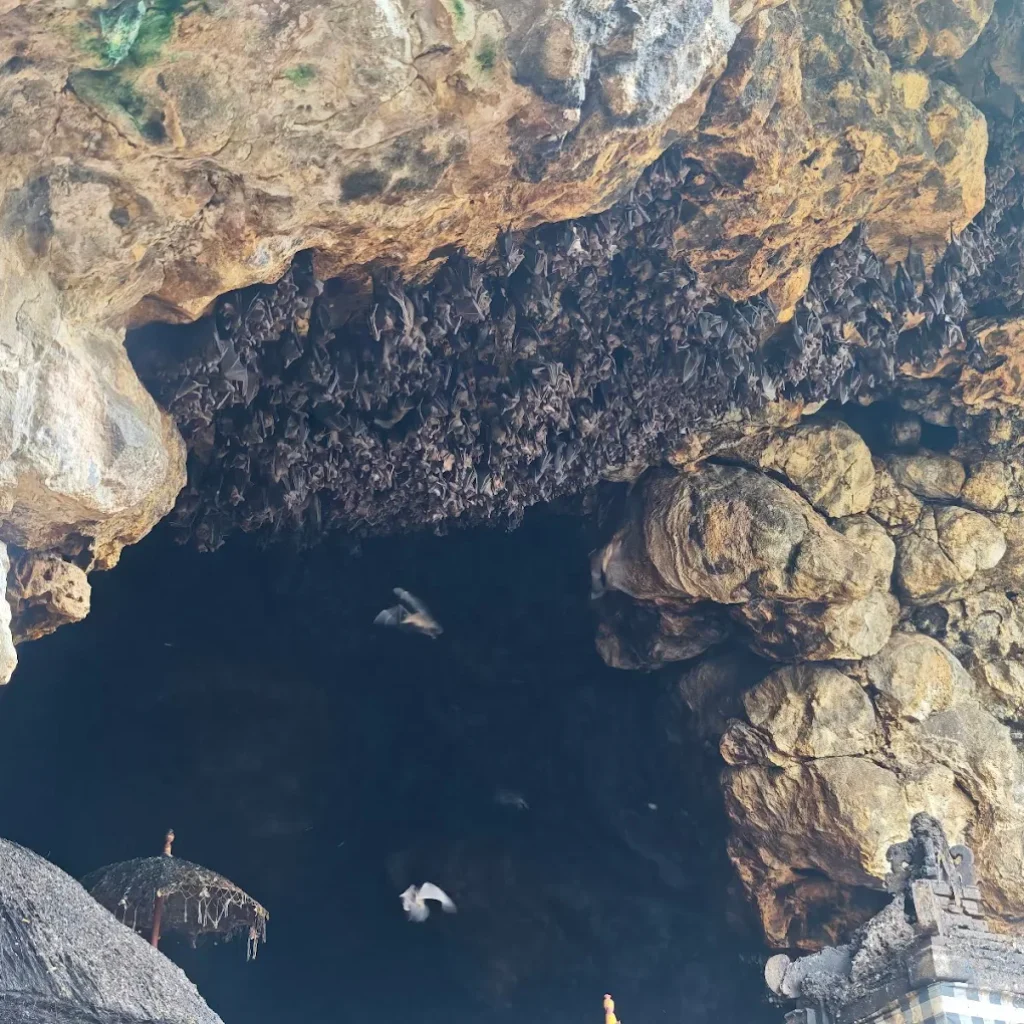 bad cave temple
