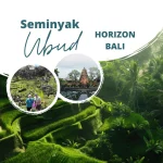 Seminyak to Ubud