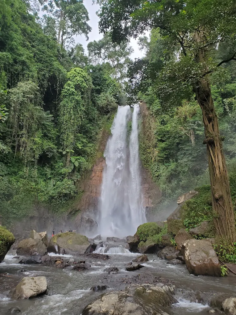gitgit waterfall bali indonesia​