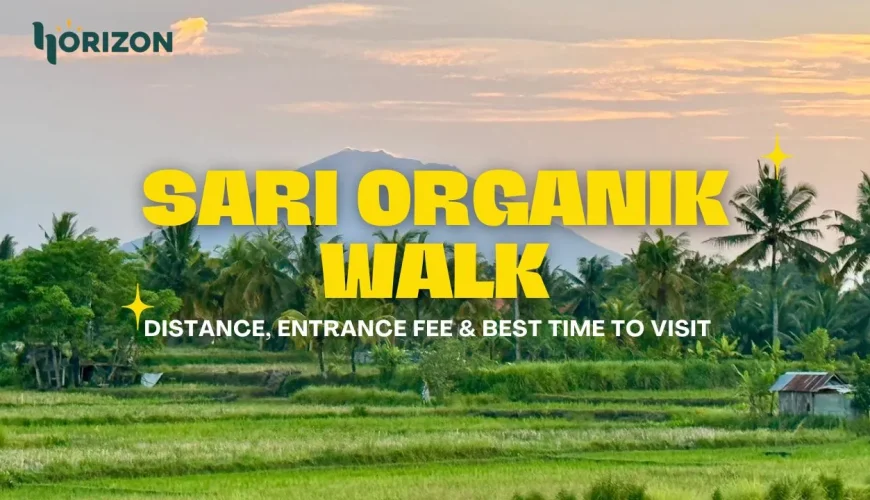Sari Organik Walk Ubud: Distance, Entrance Fee & Best Time to Visit
