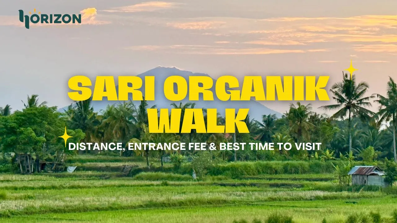 Sari Organik Walk Ubud: Distance, Entrance Fee & Best Time to Visit