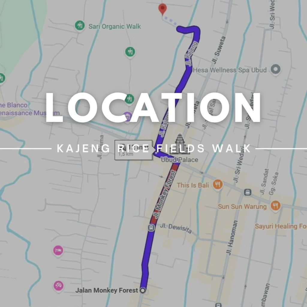 Kajeng Rice Fields Walk Location