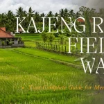 ubud kajeng rice fields walk