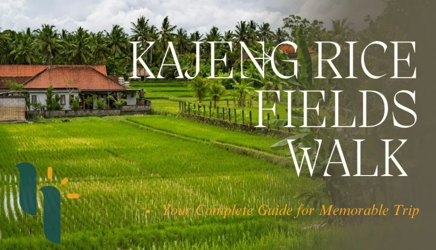 ubud kajeng rice fields walk