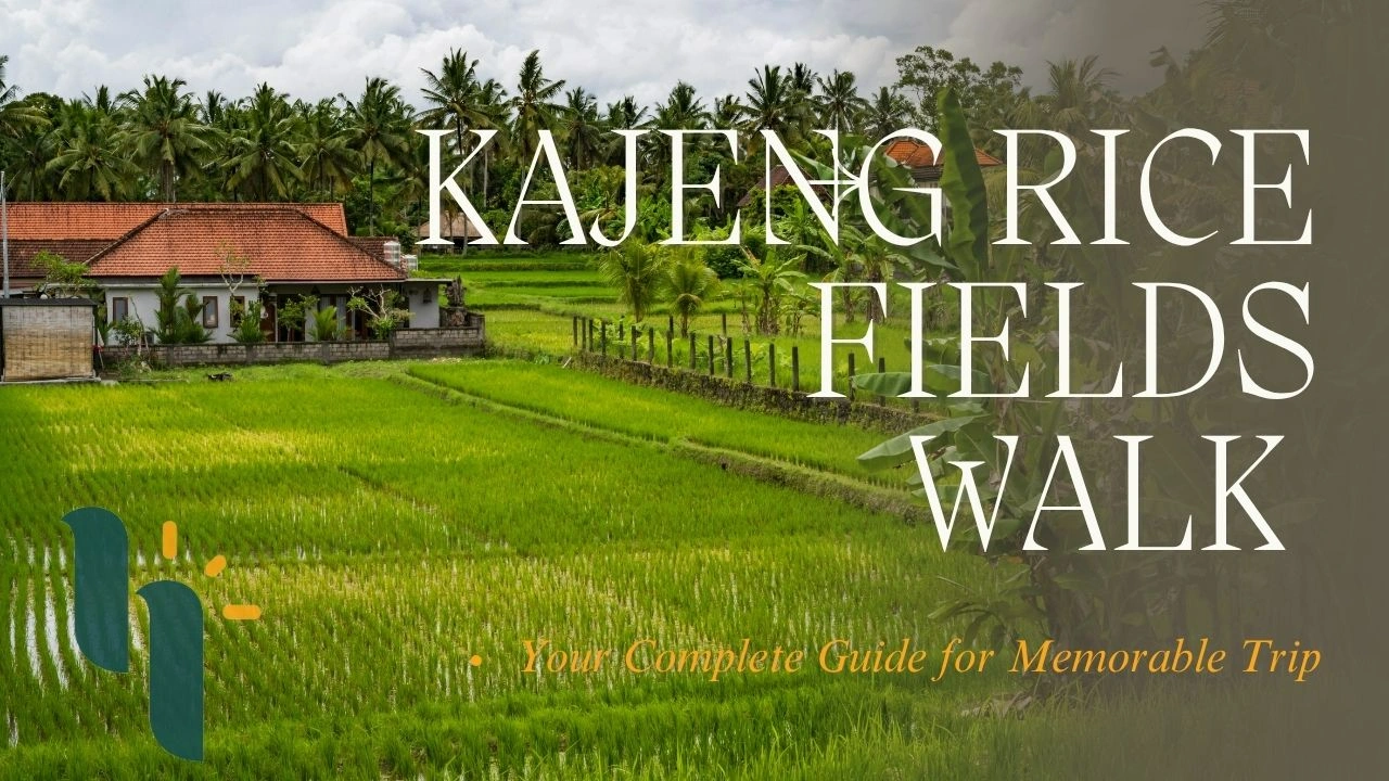 ubud kajeng rice fields walk