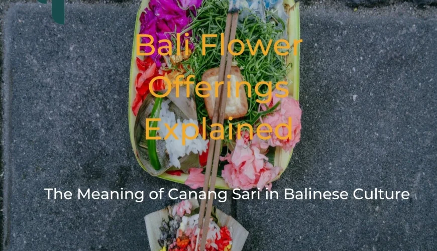 Bali Flower Offerings Explained: The Meaning of Canang Sari in Balinese Culture