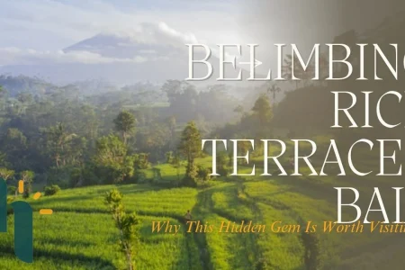 Belimbing Rice Terraces Bali: Why This Hidden Gem Is Worth Visiting