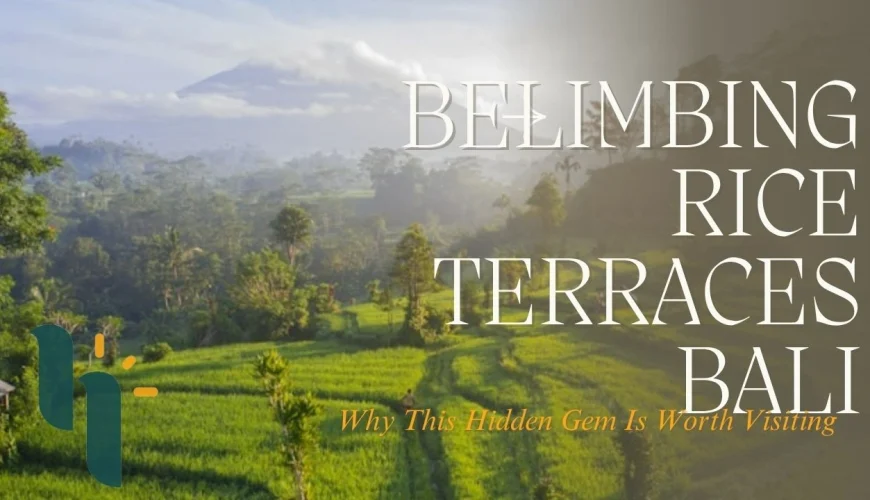 Belimbing Rice Terraces Bali: Why This Hidden Gem Is Worth Visiting