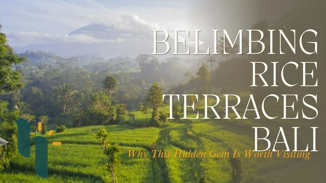 Belimbing Rice Terraces Bali: Why This Hidden Gem Is Worth Visiting