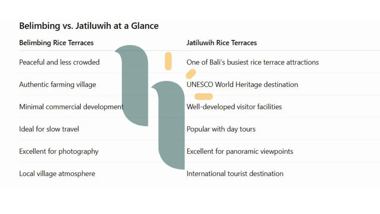 Belimbing vs jatiluwih