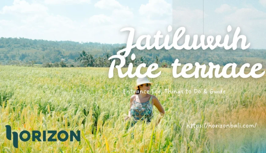 Jatiluwih rice terraces