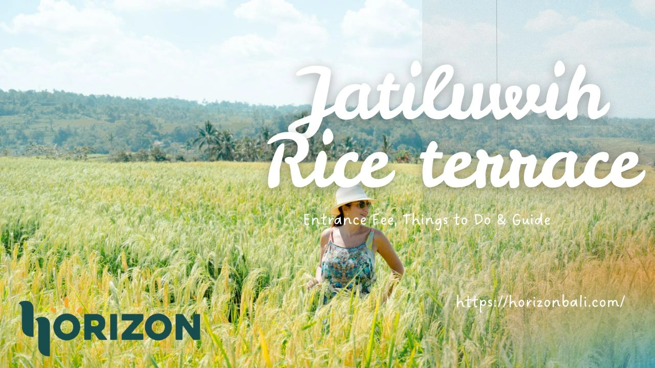 Jatiluwih rice terraces