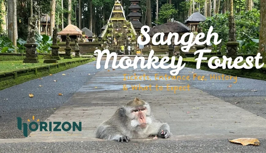 Sangeh Monkey Forest Bali: Tickets, Entrance Fee, History & What to Expect