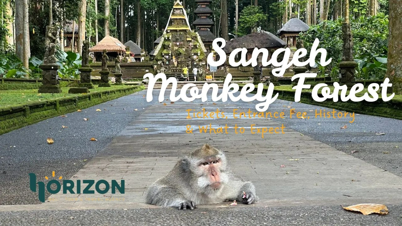 Sangeh Monkey Forest Bali: Tickets, Entrance Fee, History & What to Expect
