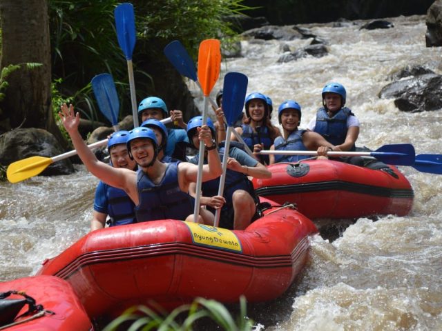IMG-20221123-WA0016