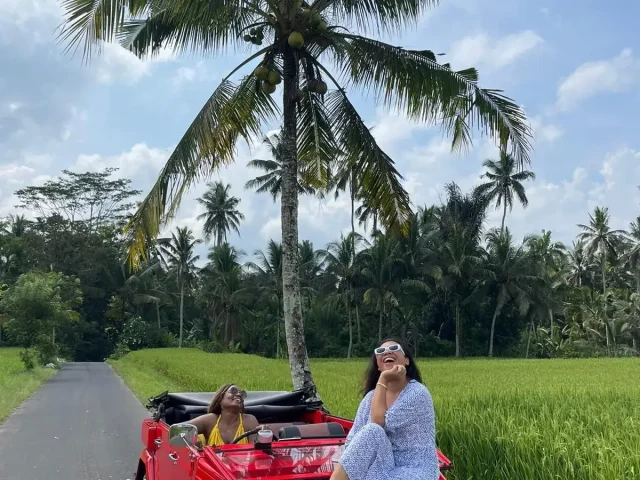 ubud-valkswagen-tour